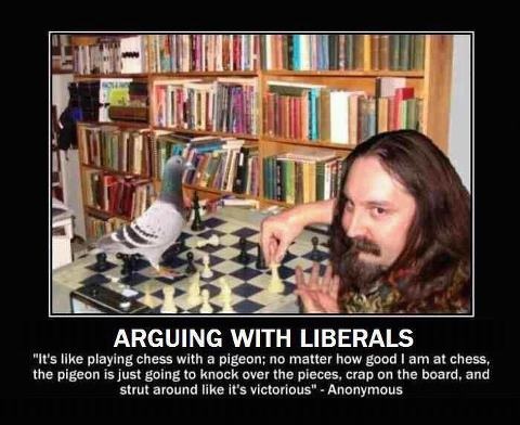 Image result for arguing with an idiot is like playing chess with a pigeon